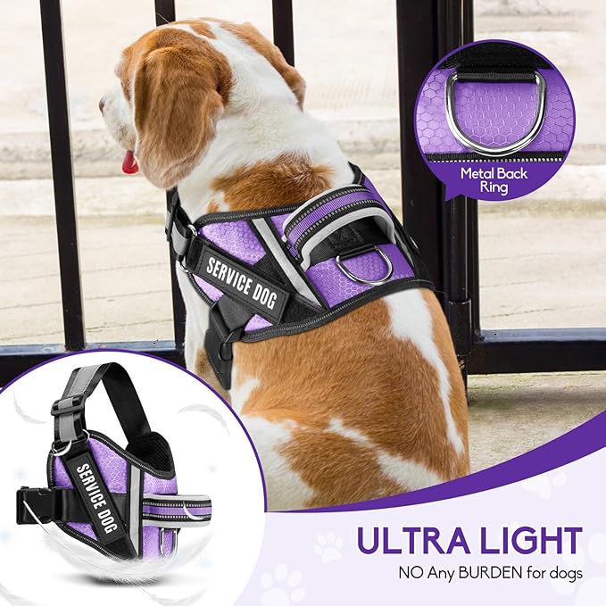 Service Dog Vest Harness and Leash Set, Animire in Training Dog Harness with 10 Dog Patches, Reflective Dog Leash with Soft Padded Handle for Small, Medium, Large, and Extra-Large Dogs (Purple, M)