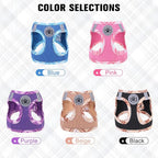 BEAUTYZOO Dog Harness and Leash Set for Small Medium Dogs,No Pull Step-in Harness for Puppy S M Sized Dogs and Cats,Air Mesh Adjustable Breathable Soft No Choke Escape Proof Vest Harnesses,Pink XXS