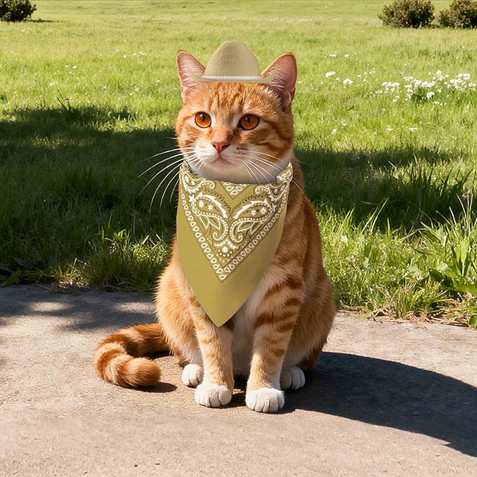 choyaxo Dog Cowboy Hat Dog Cowboy Costume for Small Pet Dogs Cat Cowboy Hat with Bandana Scarf Set Party Accessories (Khaki, Medium)