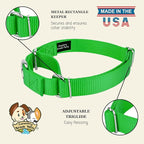 Country Brook Petz - Martingale Dog Collar - Heavy-Duty Training Collar with No Buckle - Service Dog Collar for All Pups - 10+ Cool Colors (Hot Green, 1 Inch, Large)