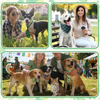 Reginary 120 Pcs Dog Bandanas Bulk Dog Bows Set Bow Ties Cat Scarf Colorful Washable Triangle Pet Kerchief Cute Bib for Summer Small Medium Large Pets Grooming Accessories Costume (St. Patrick's Day)
