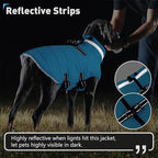 Dogcheer Dog Coat with Harness, Waterproof Dog Jacket Adjustable Pet Winter Coat with Zipper, Christmas Puppy Snow Jacket Fleece Sweater for Small Medium Large Dogs - Sky Blue M