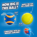 Chuckit! Ultra Ball Dog Toy - Medium Bouncy Fetch Balls for Dogs 20-60 lbs - Made from Durable Rubber - Floating Water Pet Toys - Size Medium - 2.5-inch Diameter - Pack of 4