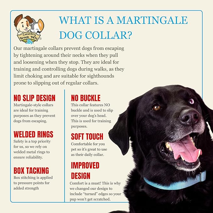 Country Brook Petz - Martingale Dog Collar - Heavy-Duty Training Collar with No Buckle - Service Dog Collar for All Pups - 10+ Cool Colors (Ocean Blue, 1 Inch, Extra Large)