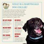 Country Brook Petz - Martingale Dog Collar - Heavy-Duty Training Collar with No Buckle - Service Dog Collar for All Pups - 10+ Cool Colors (Ocean Blue, 1 Inch, Medium)