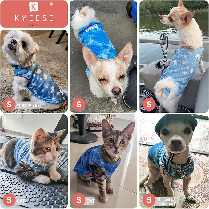 KYEESE 2Pack Dog Cooling Shirt, Breathable Dog Shirt for Small Dogs, Sun Protection Dogs Cooling Vest Tank Top, Lightweight Soft Sleeveless Summer Puppy Clothes, Purple+Blue, S