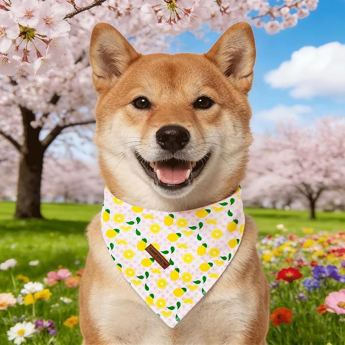 Elegant little tail Dog Bandana, Spring Lemon with Flower 1PC Washable Dog Scarf Female or Male Square Bib Kerchief Scarf Adjustable Pet Bandana for Medium Large Dogs