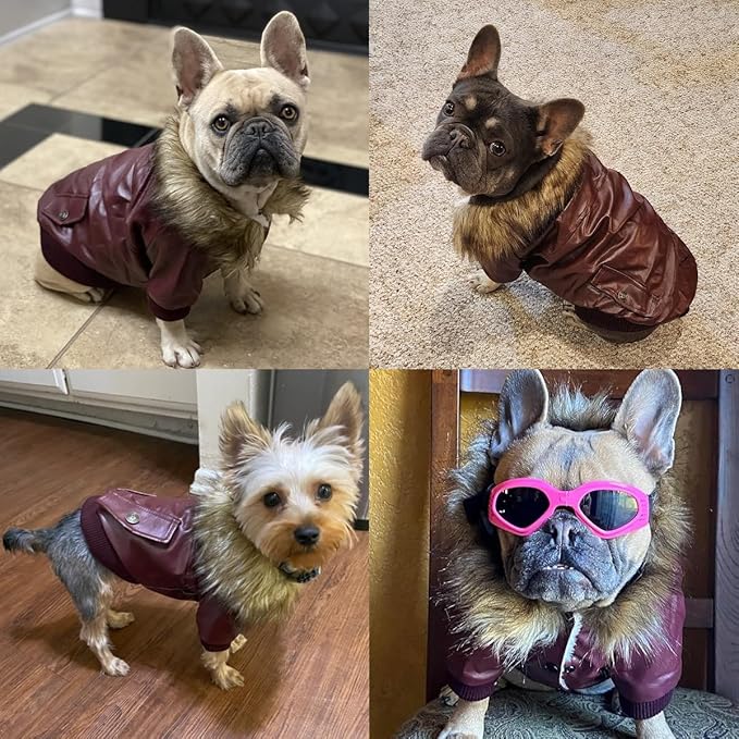 LESYPET Dog Leather Jacket for Small Dogs, Waterproof Dog Winter Jacket Puppy Coat with Fleece Lined, Ultra Warm Fur Collar Doggie Coat, Black L