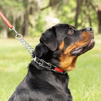 Herm Sprenger Chrome Plated Steel Dog Collar with Quick Release ClicLock Buckle O-Ring Biothane Insert Training Collar Made in Germany (Cherry Red, 25in x 4.0mm(Neck Size up to21-22in))