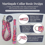 Lucky Love Dog Martingale Dog Collar - Adjustable, No-Slip, Durable, & Soft Webbing Collar for Male and Female Dogs Ideal for Training & Walking - Rosie, Medium