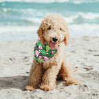 ADOGGYGO Summer Hawaii Dog Bandana, 6 Pack Flamingo & Fruit Pattern Triangle Summer Bandanas for Small Dogs Pets (Small)