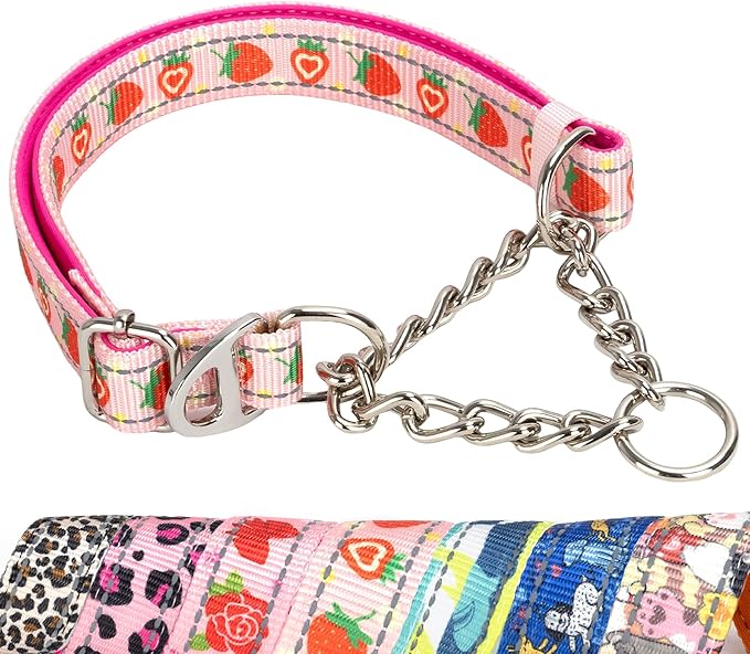 Strawberry Martingale Dog Collar - Reflective No-Pull Training Collar with Adjustable Chain for Medium, Large, XL Dogs, Cute Fruit Design XL