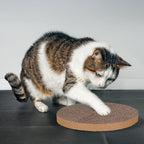 Scratch and Spin Cat Scratcher Replacement Pads for Active Play, Natural Recycled Corrugated Cardboard, Supports Pet Behaviors, Relieves Stress - 3 Count