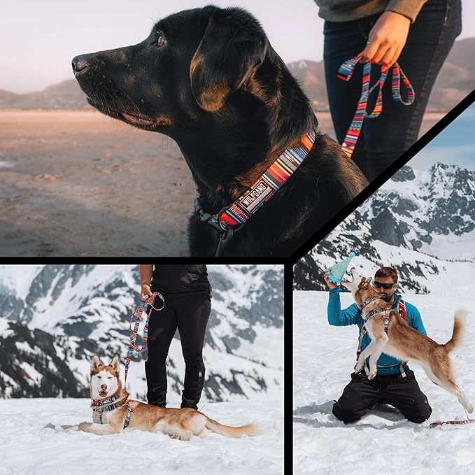 Wolfgang Heavy Duty Dog Leash, Pull-Tested to Over 800 lbs for Walking & Training, Quetzal Print, Large