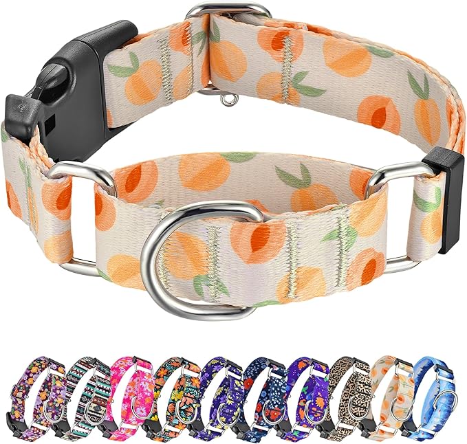 Hikiko Martingale Collar for Dogs Peach Dog Collar for Small Medium Large Dogs Cute Holiday Summer Dog Collars Pet Gift (Peach,Large)