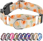 Hikiko Martingale Collar for Dogs Peach Dog Collar for Small Medium Large Dogs Cute Holiday Summer Dog Collars Pet Gift (Peach,Small)