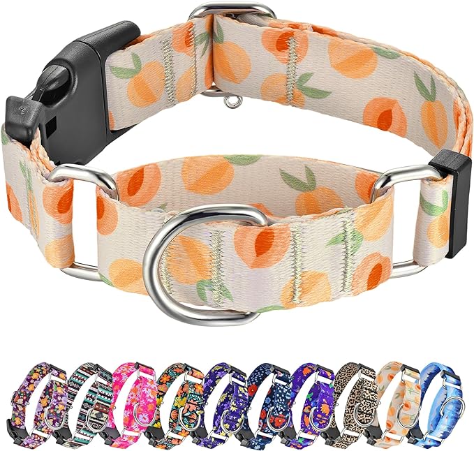 Hikiko Martingale Collar for Dogs Peach Dog Collar for Small Medium Large Dogs Cute Holiday Summer Dog Collars Pet Gift (Peach,Small)