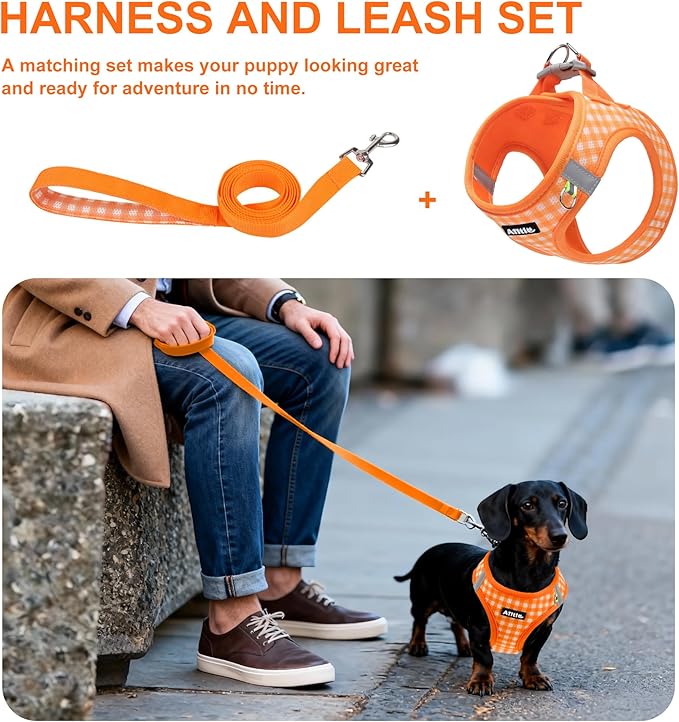 AIITLE Plaid Print Dog Harness Set – Lightweight, Reflective & Adjustable Vest Harness for Puppies – Perfect for Boston Terriers, Maltese & Indoor/Outdoor Use (XS, Orange)
