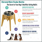 Elevated Dog Bowl with Slow Feeder Insert - (12-inch High) Ideal for Large Dogs - Suitable for Wet or Dry Dog Foods, Stainless Steel and Bamboo