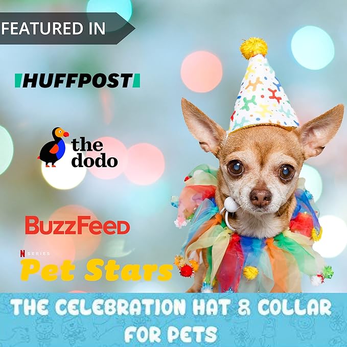 Pet Krewe Dog Clown Costume Happy Birthday Hat & Collar Outfit | 1st Bday Party, National Cat Day, Photo Shoots & Celebrations | Doggie & Puppy Clothes | Ideal Gift for Small, Medium & Large Pets