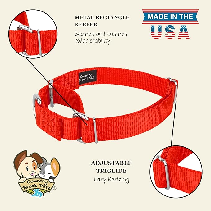 Country Brook Petz - Martingale Dog Collar - Heavy-Duty Training Collar with No Buckle - Service Dog Collar for All Pups - 10+ Warm Colors (Hot Orange, 1 Inch, Extra Large)