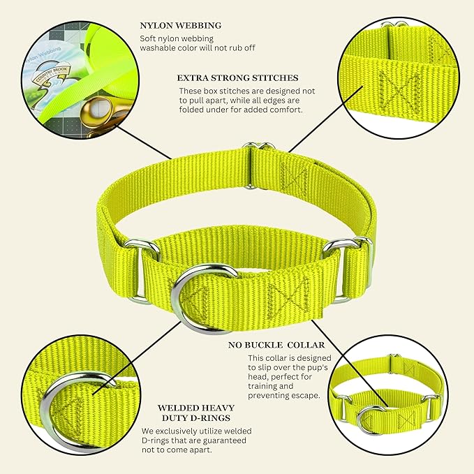 Country Brook Petz - Martingale Dog Collar - Heavy-Duty Training Collar with No Buckle - Service Dog Collar for All Pups - 10+ Warm Colors (Hot Yellow, 3/8 Inch, 3XS)