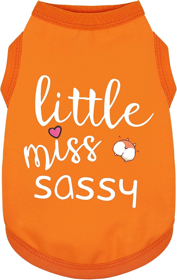 Paiaite Dog Clothes Fashionable Sleeveless Pet Vest: 'Little Miss Sassy' Printed Cotton Dog Shirt, Ideal for Small, Medium, and Large Breeds, Ensuring Comfort and Breathability Orange L
