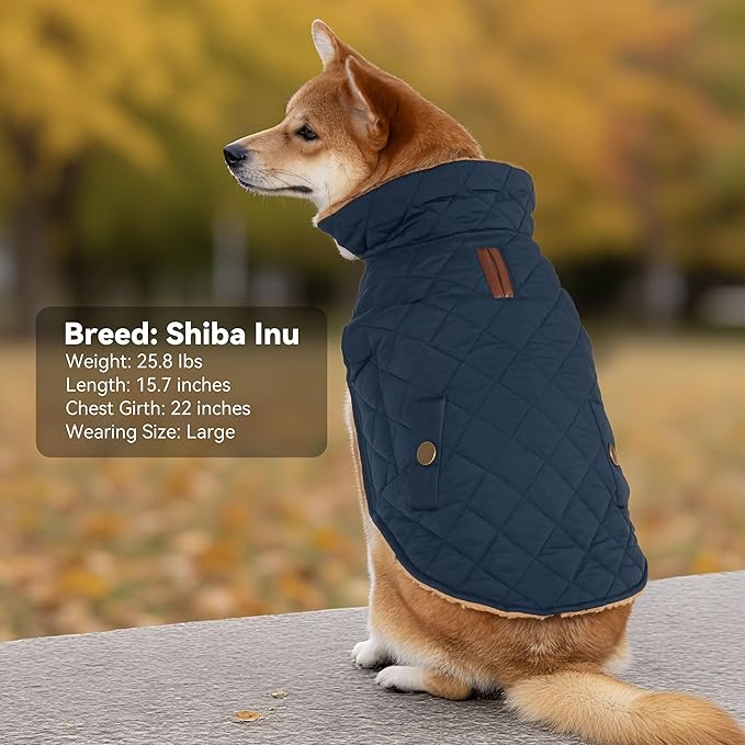 Dog Coat, Warm Soft Dog Winter Coats for Small Dogs, Waterproof Windproof Dogs Adjustable Jacket with Fleece Lined Turtleneck Doggy Snowsuit with Leash Hole, Navy Large