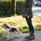 QQPETS Dog Harness Leash Set Adjustable Heavy Duty No Pull Halter Harnesses for Small Medium Large Breed Dogs Back Clip Anti-Twist Perfect for Walking (S(14"-20" Chest Girth), Sakura Pink)