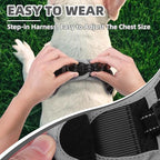 PUPTECK No Pull Dog Harness Small Medium Sized Dog, Adjustable Reflective Escape Proof Easy Control, Comfortable Soft Padded Step in Pet Vest Harness, Black, M
