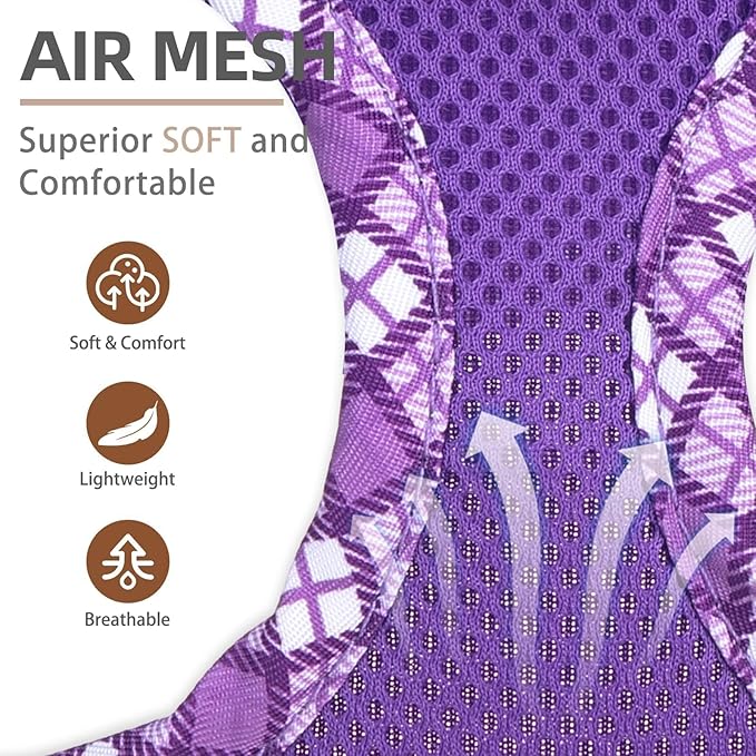 PUPTECK Dog Harness and Leash Set for Small Medium Dogs No Pull Step-in Soft Mesh Puppy Cat Vest Harnesses Reflective at Night, Purple XS