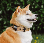 Tuff Pupper Heavy Duty Tactical Dog Collar | 1.5" Wide Ballistic Nylon | Reflective Stitching | Integrated ID Tag Holder | Stainless Steel Buckle | Padded Lining | Medium & Large Dogs (Tan, Medium)