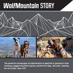 Wolfgang Heavy Duty Dog Leash, Pull-Tested for Walking & Training, WolfMountain Print, Small