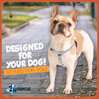 2 Hounds Design - Freedom No-Pull Harness & Training Leash in Pink and Blue | Dual Leash Loops, No Pulling on Walks | Lined to Prevent Chaffing | for Large Sized Dogs (Size L, Chest 28”- 32”)
