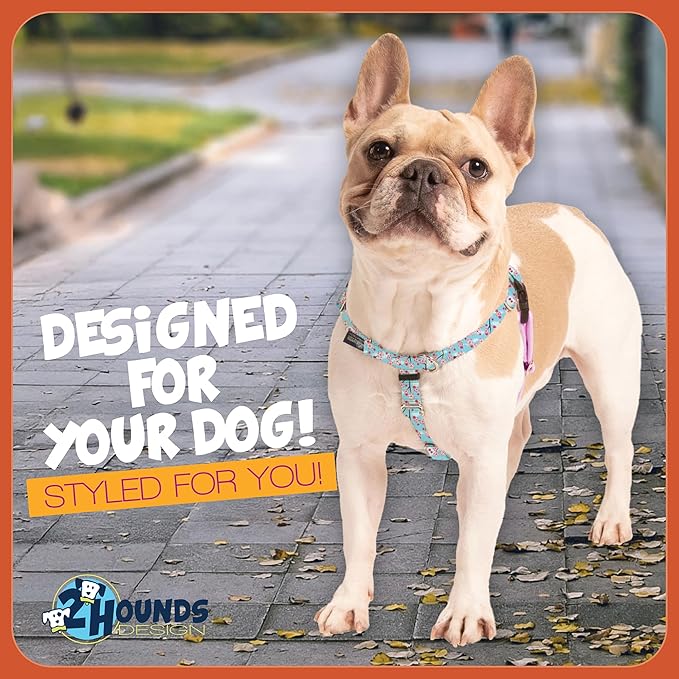 2 Hounds Design - Freedom No-Pull Harness & Training Leash in Pink and Blue | Dual Leash Loops, No Pulling on Walks | Lined to Prevent Chaffing | for Large Sized Dogs (Size M, Chest 24”- 28”)
