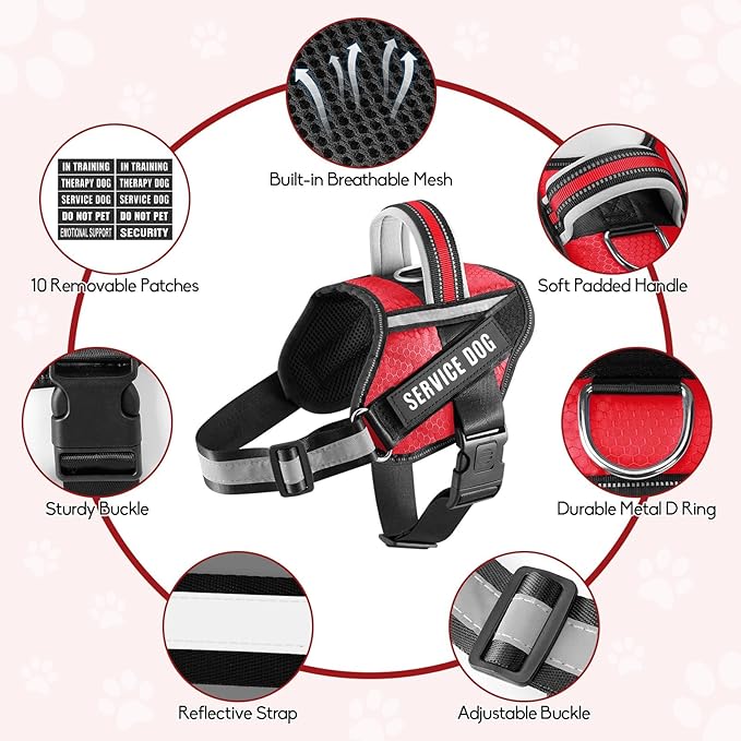 Service Dog Vest Harness and Leash Set, Animire in Training Dog Harness with 10 Dog Patches, Reflective Dog Leash with Soft Padded Handle for Small, Medium, Large, and Extra-Large Dogs