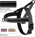Annchwool No Pull Dog Harness with Padded Handle+5 Ft Leash,Reflective Strip Escape Proof and Quick Fit to Adjust Dog Harness,Easy for Training Walking for Small & Medium and Large Dogs(Black-Set,M)