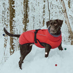 IECOii Extra Warm Dog Coat - Reflective, Adjustable Jacket with Buckle & Fleece Turtleneck for Cold Weather, Soft Winter Coat for Small to Extra Large Dogs
