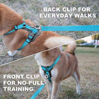 Plutus Pet Adjustable No Pull Dog Harness with Leather Accents, Heavy Duty Reflective Nylon Vest for Training, Hiking, Easy Walk Harness for Small, Medium, Large Dogs (Light Blue, L)