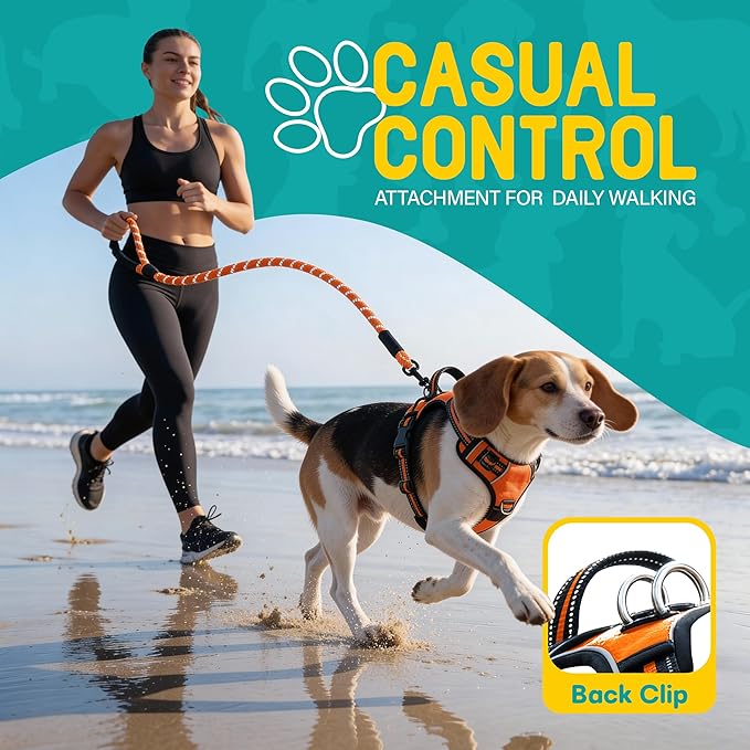 No Pull Dog Harness and Leash Set for Medium Dogs – Adjustable Reflective Breathable Soft Padded Easy Control Dog Harness for Training & Walking, Orange (Medium)