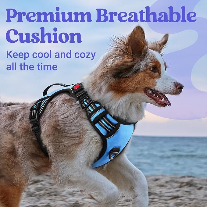 rabbitgoo Dog Harness Small Sized Dog, No Pull Pet Harness with Soft Padded Handle, Adjustable Reflective Vest with 3 Buckles, Easy Walking Harness with 2 Leash Clips, Light Blue, S