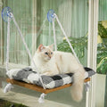 Cat Window Perch