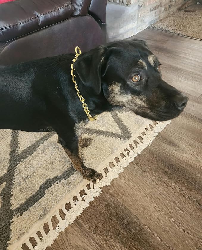 Metal Choker Collar for Large Dogs Training Slip Link Dog Chain Collars Heavy Duty Martingale Collars for XXS XS Small Medium Large Breed Pets Boys Girls, Gold XL