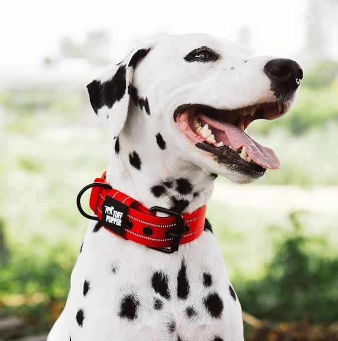 Tuff Pupper Heavy Duty Tactical Dog Collar | 1.5" Wide Ballistic Nylon | Reflective Stitching | Integrated ID Tag Holder | Stainless Steel Buckle | Padded Lining | Medium & Large Dogs (Red, Large)