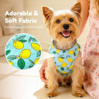 BAEJMJK Dog Harness and Leash Set with Bow Knot No Pull Pet Daisy Floral Harness with D-Ring Soft Mesh Dog Harness Vest Set Escape Proof Princess Puppy Harness for Small Girl Dogs Cats（Green S）