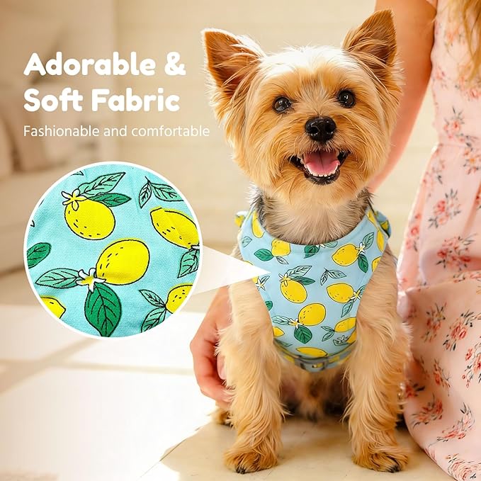 BAEJMJK Dog Harness and Leash Set with Bow Knot No Pull Pet Daisy Floral Harness with D-Ring Soft Mesh Dog Harness Vest Set Escape Proof Princess Puppy Harness for Small Girl Dogs Cats（Green L）
