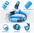 Martingale Collar for Dogs Large Medium Small Heavy Duty Buckle Dog Collar with Tag Ring Reflective Nylon Gradient Dog Collar No Pull Training Collar