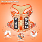 Dog Harness for X-Small Dog Breed, Light Pet Vest Harness with 2 Leash Clips and 3 Buckles, Easy to Wear, Adjustable Reflective Soft Padded, Boston Terrier, Beagle, Poodles, Orange XS
