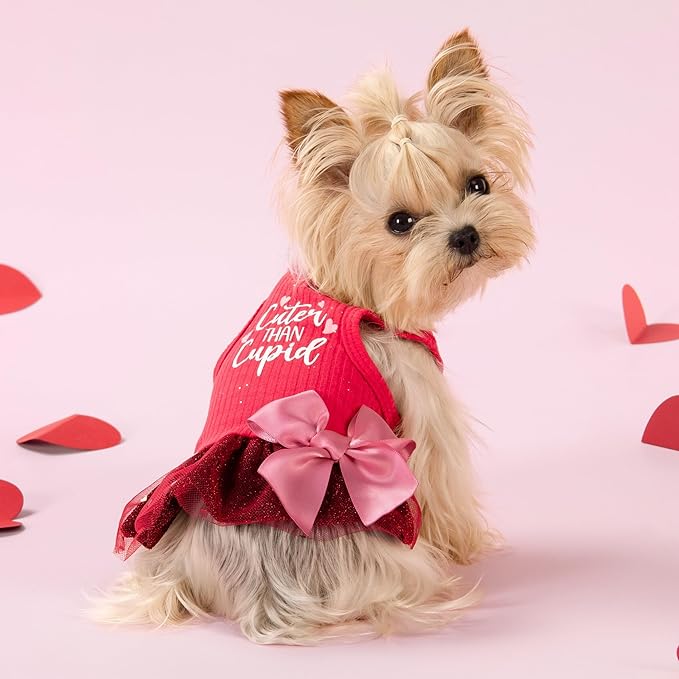 Fitwarm Cuter Than Cupid Dog Tulle Dress, Cute Girl Dog Clothes, Funny Pet Apparel, Burgundy Red, Small