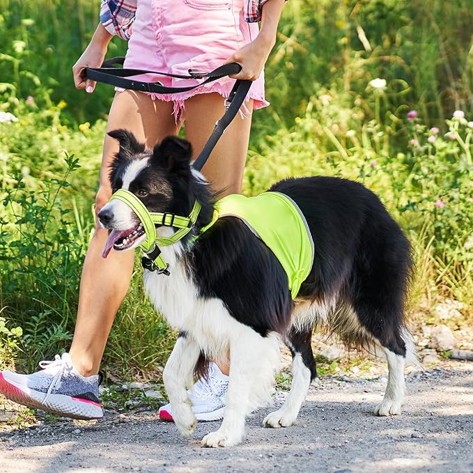 Weesiber Soft Dog Head Collar - Adjustable Dog Head Harness, Padded No Pull Head Halter Collar with Reflective Safety Strip for Training and Walking(Green,M)